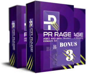 6 Figure Domain Strategy Webinar mockup